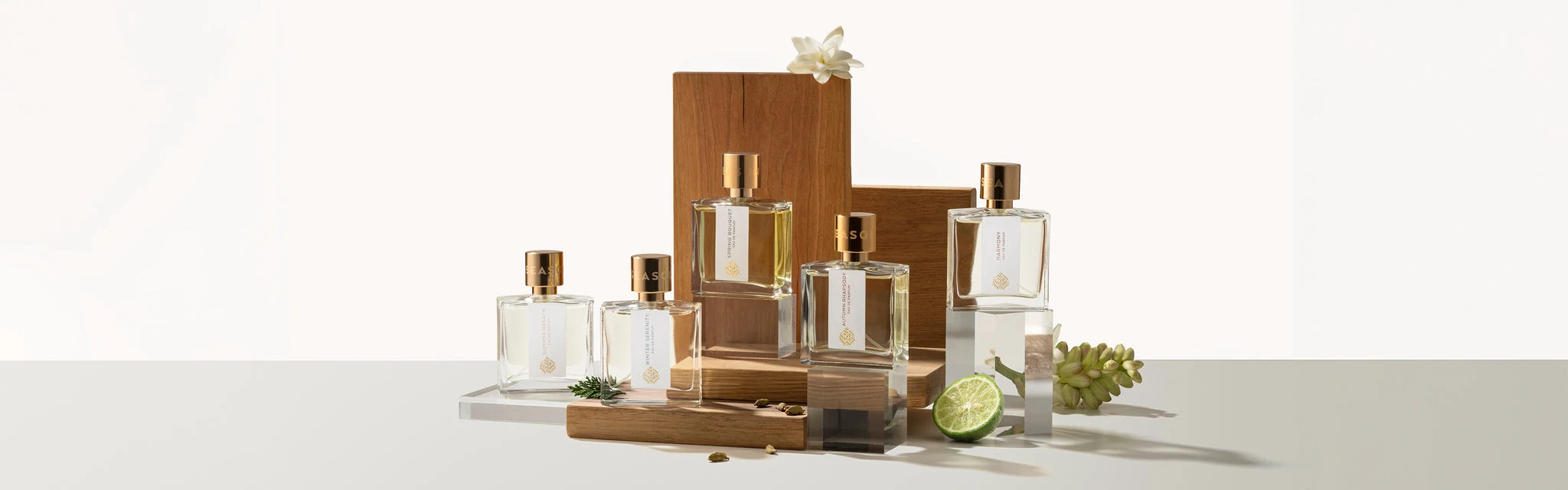 Five Seasons Parfums — detaliu din proiect